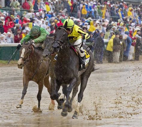 daily racing form past performance.